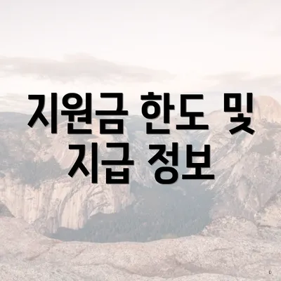 지원금 한도 및 지급 정보