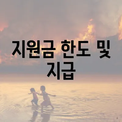지원금 한도 및 지급