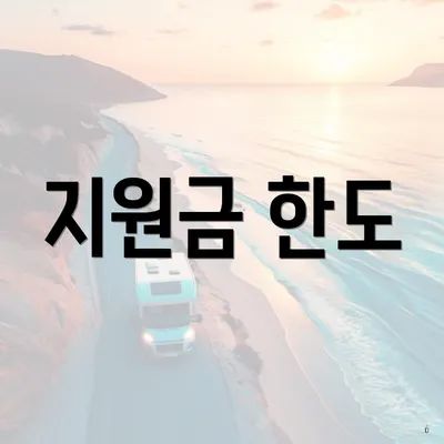 지원금 한도