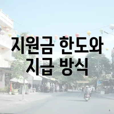 지원금 한도와 지급 방식
