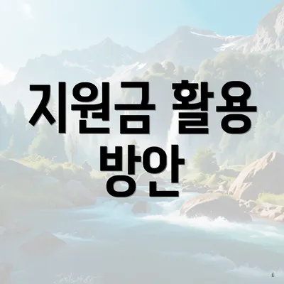 지원금 활용 방안