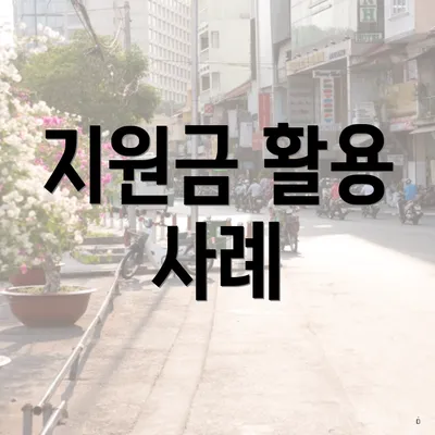 지원금 활용 사례