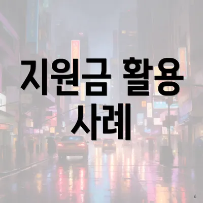 지원금 활용 사례