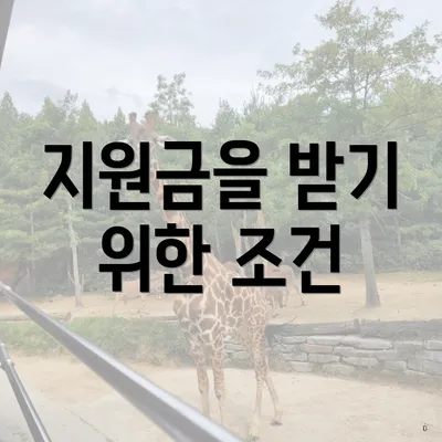 지원금을 받기 위한 조건