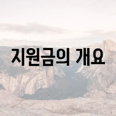 지원금의 개요