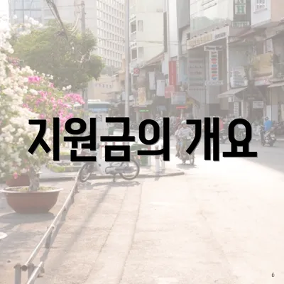 지원금의 개요