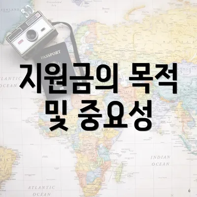 지원금의 목적 및 중요성