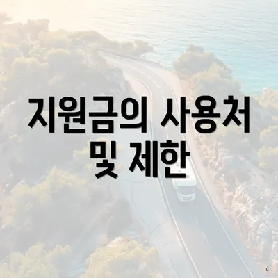 지원금의 사용처 및 제한