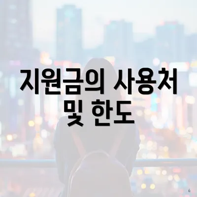 지원금의 사용처 및 한도