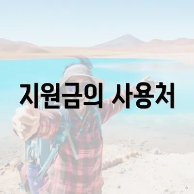 지원금의 사용처