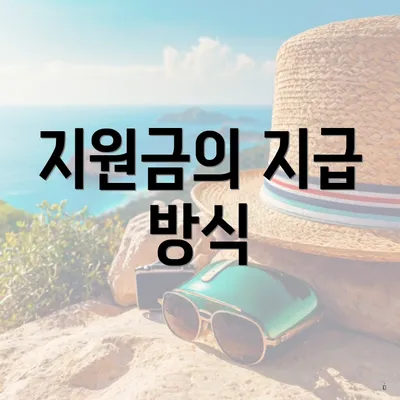 지원금의 지급 방식