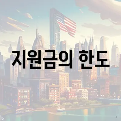지원금의 한도