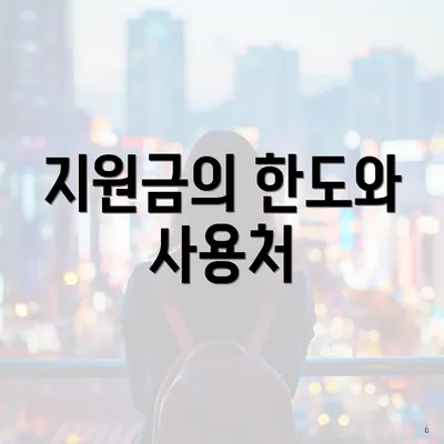 지원금의 한도와 사용처