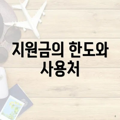 지원금의 한도와 사용처
