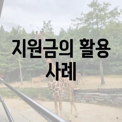 지원금의 활용 사례