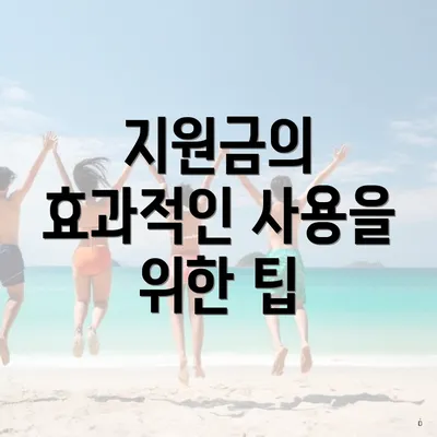 지원금의 효과적인 사용을 위한 팁