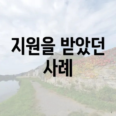 지원을 받았던 사례