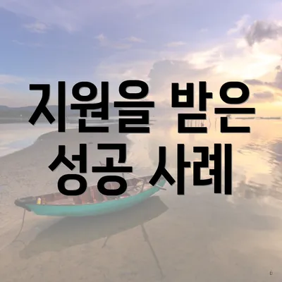 지원을 받은 성공 사례