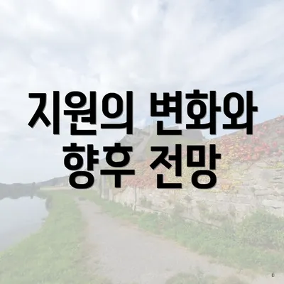 지원의 변화와 향후 전망