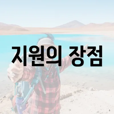 지원의 장점