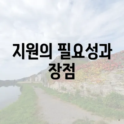 지원의 필요성과 장점