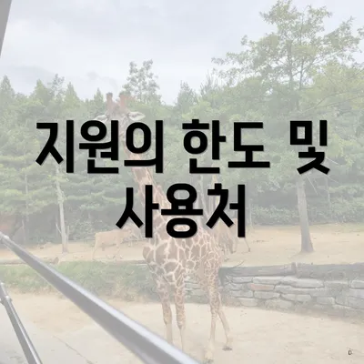 지원의 한도 및 사용처