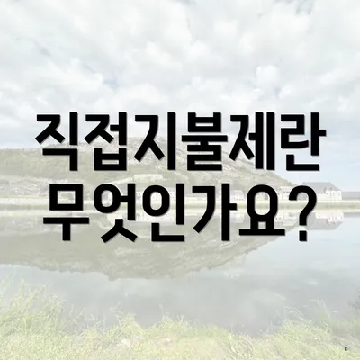 직접지불제란 무엇인가요?