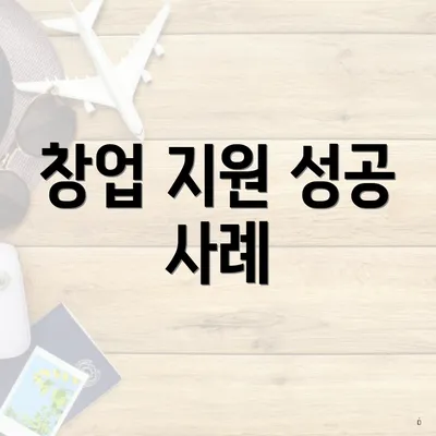 창업 지원 성공 사례