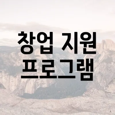창업 지원 프로그램