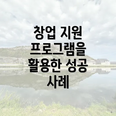 창업 지원 프로그램을 활용한 성공 사례