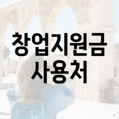 창업지원금 사용처