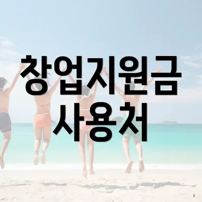 창업지원금 사용처