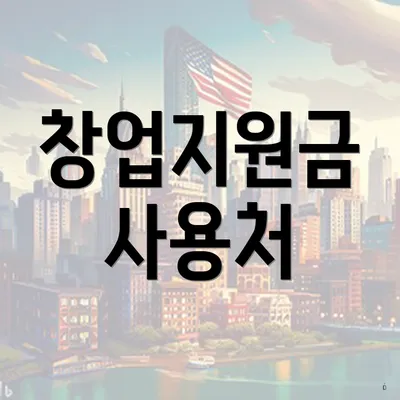창업지원금 사용처