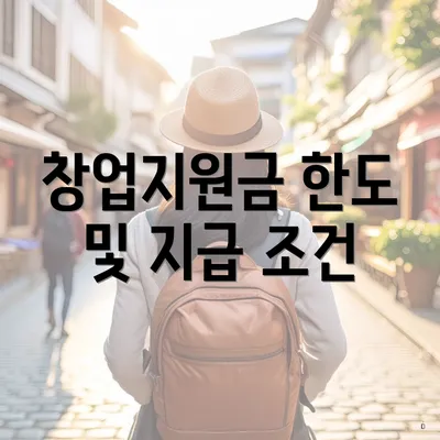 창업지원금 한도 및 지급 조건