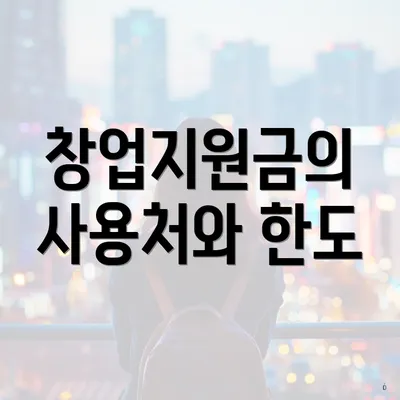 창업지원금의 사용처와 한도