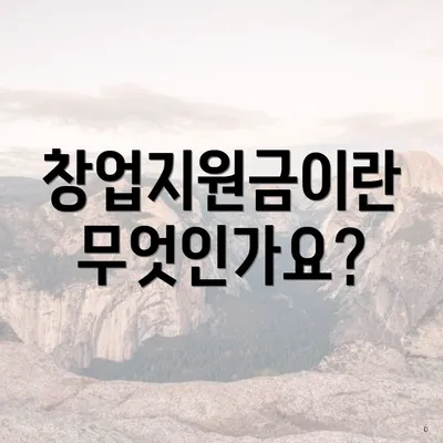 창업지원금이란 무엇인가요?
