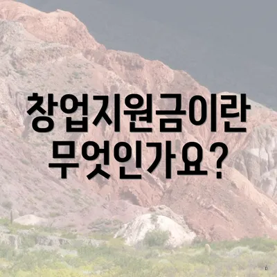창업지원금이란 무엇인가요?