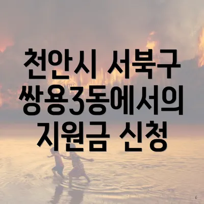 천안시 서북구 쌍용3동에서의 지원금 신청