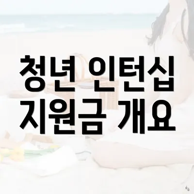 청년 인턴십 지원금 개요