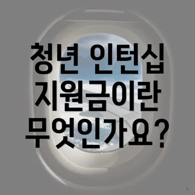 청년 인턴십 지원금이란 무엇인가요?
