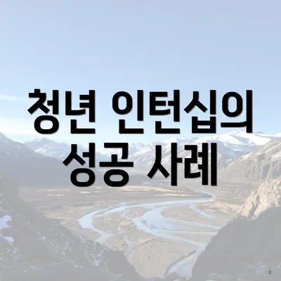 청년 인턴십의 성공 사례