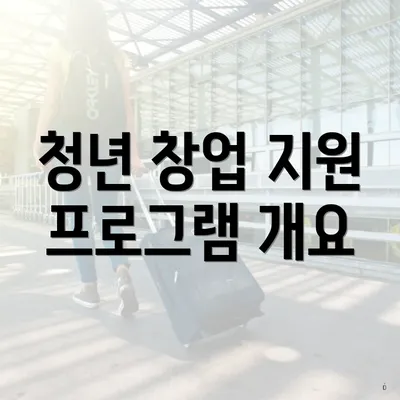 청년 창업 지원 프로그램 개요