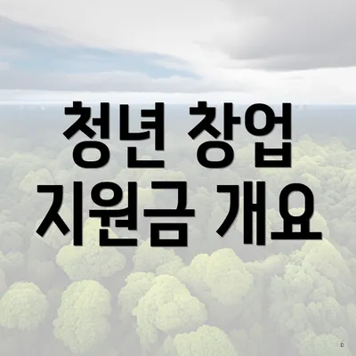 청년 창업 지원금 개요