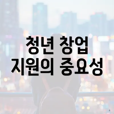 청년 창업 지원의 중요성