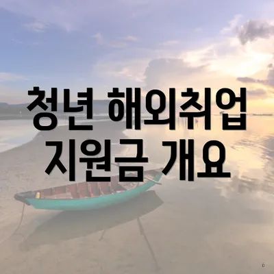 청년 해외취업 지원금 개요