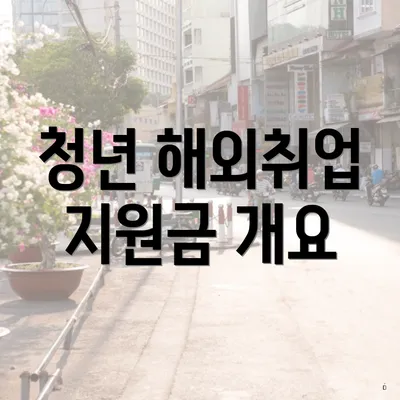 청년 해외취업 지원금 개요