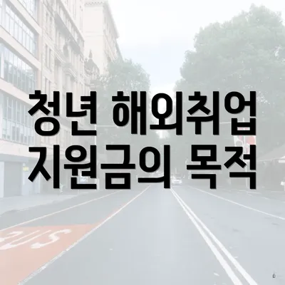 청년 해외취업 지원금의 목적