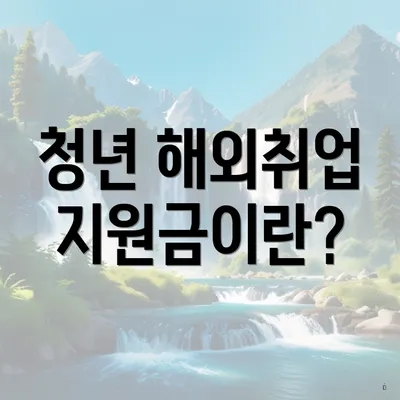 청년 해외취업 지원금이란?