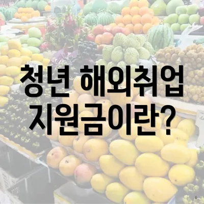 청년 해외취업 지원금이란?