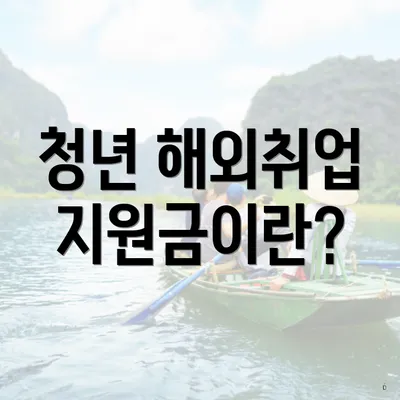 청년 해외취업 지원금이란?